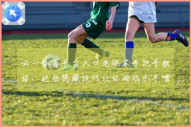 必一体育平台入口老玩家手把手教你，这些隐藏技巧让你游戏水平噌噌往上涨！