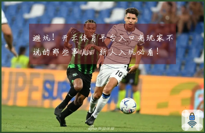 避坑！开云体育平台入口老玩家不说的那些事儿，新人入坑必看！