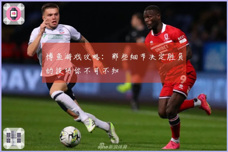 博鱼游戏攻略：那些细节决定胜负的技巧你不可不知