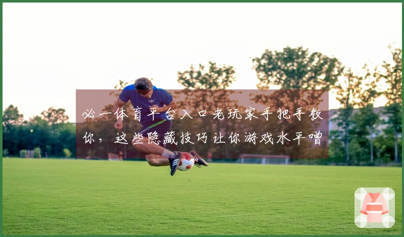 必一体育平台入口老玩家手把手教你，这些隐藏技巧让你游戏水平噌噌往上涨！